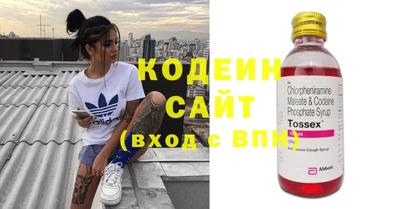 эйфоретик Алзамай