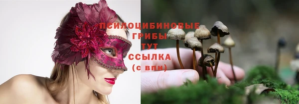 эйфоретик Алзамай