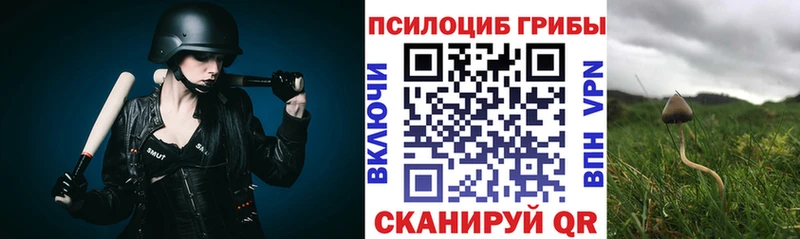 Галлюциногенные грибы Cubensis  Королёв 