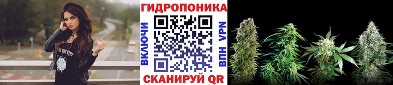 блэк спрут ТОР  Королёв  Шишки марихуана LSD WEED 